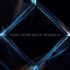 Scene Delete : Remixes #1