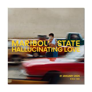 Maribou State / 叙情派エレクトロニック・ユニット、マリブー・ステート 1/31発売のニューアルバム『Hallucinating Love』から 新曲「All I Need」を公開!