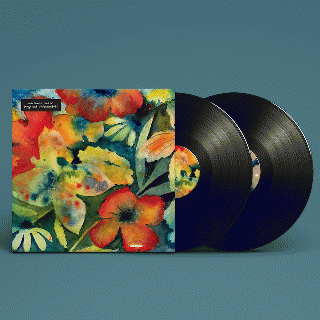 Adrianne Lenker / USインディーの至宝ビッグ・シーフの紅一点 、エイドリアン・レンカーが最新ソロ・アルバムを2作同時リリース。