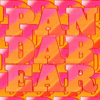 PANDA BEAR / アニマル・コレクティヴのパンダ・ベアが 新曲「playing the long game」をリリース!