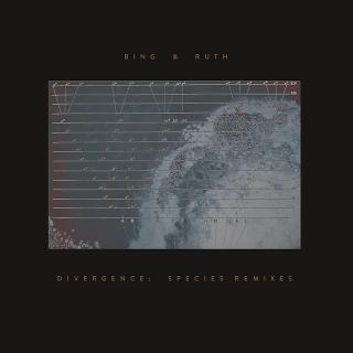 Divergence: Species Remixes EP