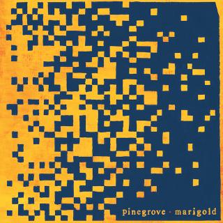 Pinegrove / 米でカルト的人気を誇るエモさ全開ロックバンド、パイングローヴが最新アルバム『Marigold』を来年1月17日にリリース!バンド史上初となるMVを公開!