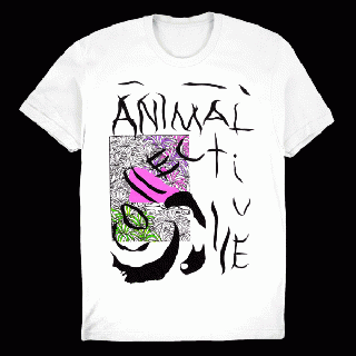 Animal Collective / 11月15日の名盤2作のアニヴァーサリー再発を記念して タワーレコード渋谷店でポップアップショップが 期間限定で開催決定!!