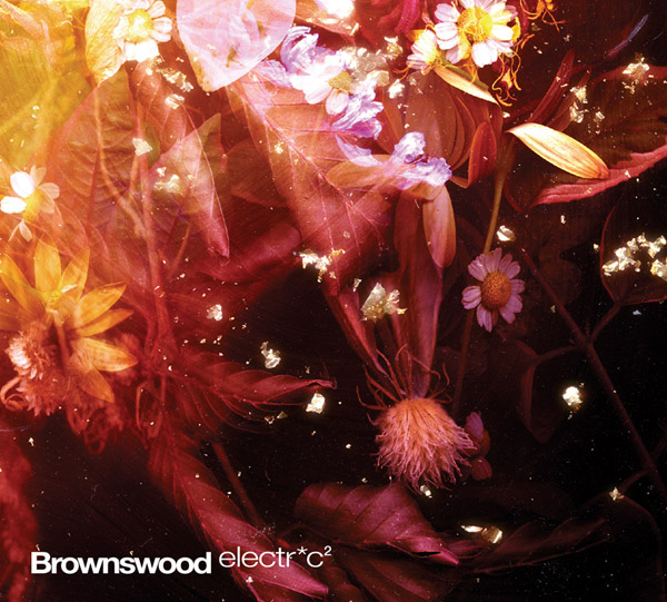 Brownswood Electric 2
