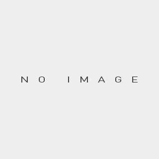 Lee Scratch Perry Presents Nu Sound & Version